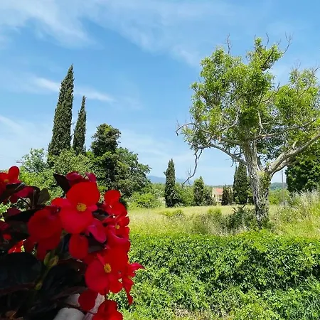 Апартаменты Deza *